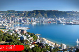 ન્યૂઝીલેન્ડ કીવી લેન્ડ