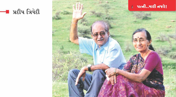 જીવન-સંસ્કૃતિની-ધરોહર