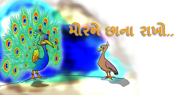 મોરને છાના રાખો...!