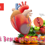 આહાર માં ફેરફાર હૃદયરોગ માં રાખે ફિટ